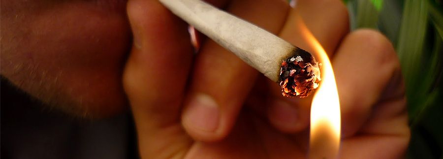 As drogas estão destruindo a vida do meu neto