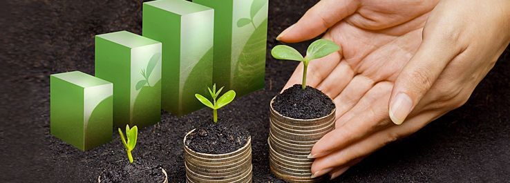 Como prosperar financeiramente, mesmo em tempos de crise